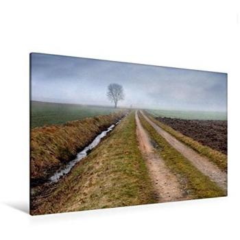 CALVENDO Premium Textil-Leinwand 120 x 80 cm Quer-Format Feldweg