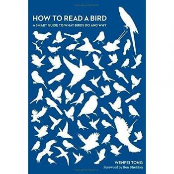 How to Read a Bird: A Smart Guide to What Birds Do and Why: 1