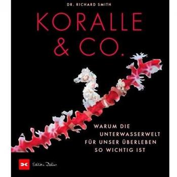 Koralle & Co.: Überlebensstrategien der Unterwasserwelt