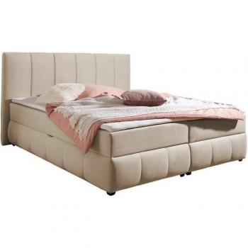 Boxbett INOSIGN Hartley, beige, mit Bettkasten & Topper, H2, H3 oder H4