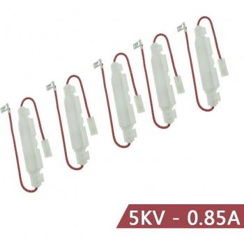 5pcs 5KV 0.85A High Voltage Fuses for Panasonic LG Samsung