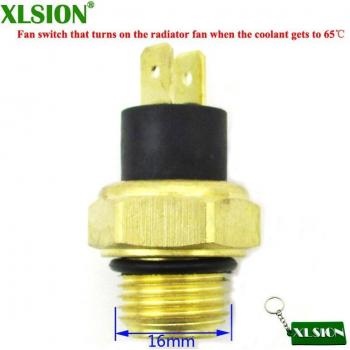 XLSION