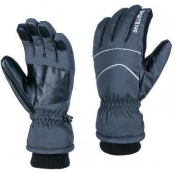 PolarPeak Thermal Skiing Gloves with Touch Tech