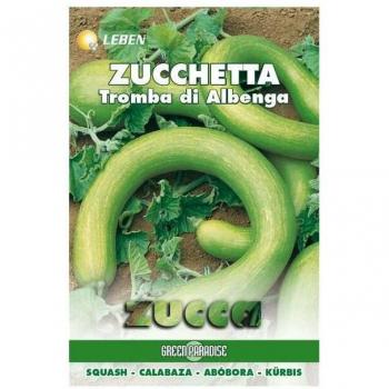 Zucchetta D'Albenga: Semina Tromba 100%