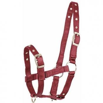 Universal Bordeaux Foal Triple Headgear