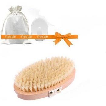 CLPAIZI Cepillo Corporal Exfoliante con Cerda y Mango Largo