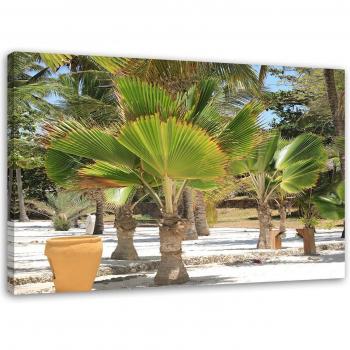 Illustration de Nature Tropicale 60x40 en Vert