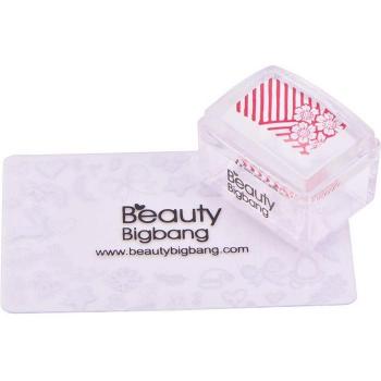 BeautyBigBang Manicure Stamp Template Tools