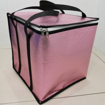 Foldable Insulated Ice Pack Cooler Bag
