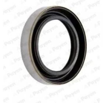 NK122 Anello Tenuta Differenziale Payen