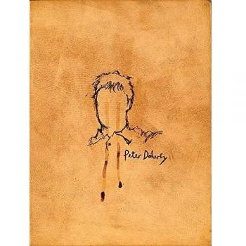 The Books of Albion: The Collected Writings of Peter Doherty by Peter Doherty