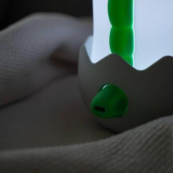 Niermann LED Nachtlicht »Nachtlicht Diggy Dino«, 1 flammig