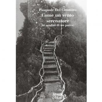 Come un vento serenatore
