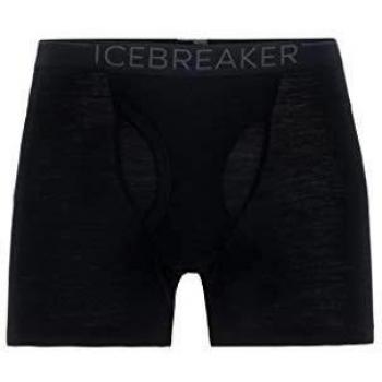 Icebreaker