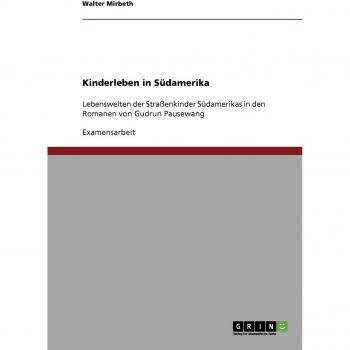 Kinderleben in Südamerika: Lebenswelten der Straßenkinder Südamerikas in den Romanen von Gudrun Pausewang