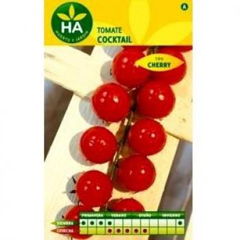 Pomodoro Mini Precoce