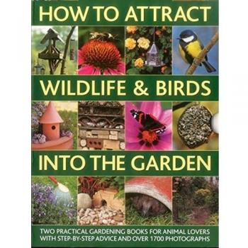 How to Attract Wildlife & Birds Into The Garden