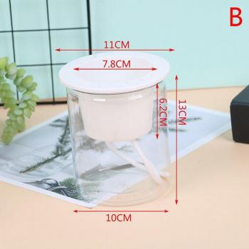Self-Watering Flower Pot for Home