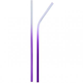 2-Pack Reusable Stainless Steel Drinking Straws (Straight & Curved) + Cleaning Brush