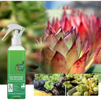 Crecimiento Sano: Fertilizante para Cactus y Suculentas