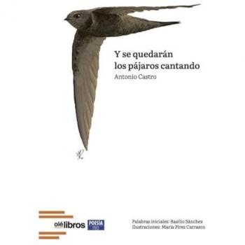 Y se quedarán los pájaros cantando (Tapa blanda).