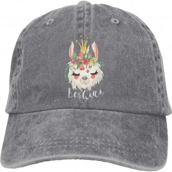 Washed Cotton Llama Baseball Hat