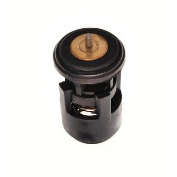 Thermostat for Coolant 670116
