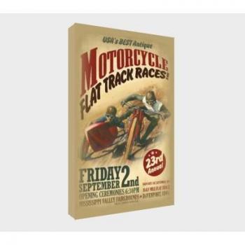 Racing Sidecar Canvas Wall Art, Flat Track, 30 by 20 inches