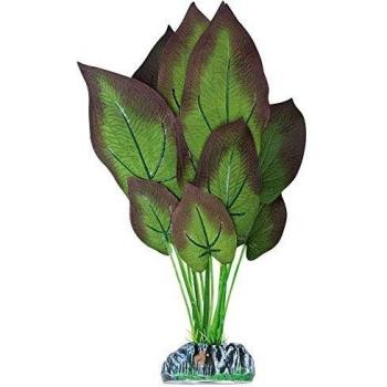 Planta de Acuario Ninfa Bronceada