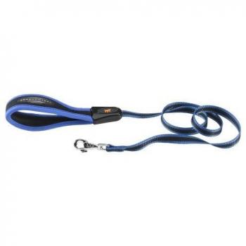 Laisse pour Chien Ferplast Ergocomfort 20/120 Bleu