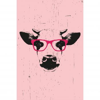 Leinwandkunst Kuh mit Brille, rosa, 80 cm x 120 cm, von queence