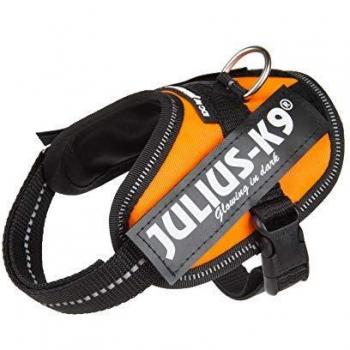 Julius K9 IDC Power Harness UV Orange Size 4