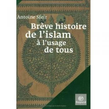 Brève histoire de l'islam à l'usage de tous