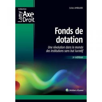 Fonds de dotation: Une révolution dans le mondes des institutions sans but lucratif.