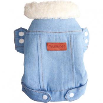 Jeans Costume for Chihuahua