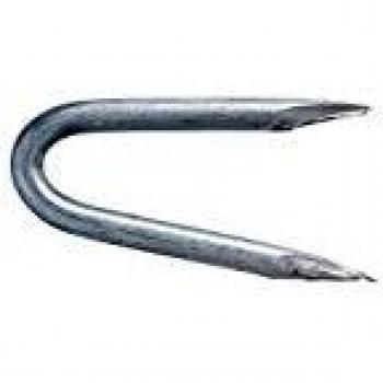 Crampillon galvanisé 3 x 30 mm boîte 1 kg