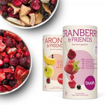 Gefriergetrocknetes Früchtepanorama – 2 große Mischungen