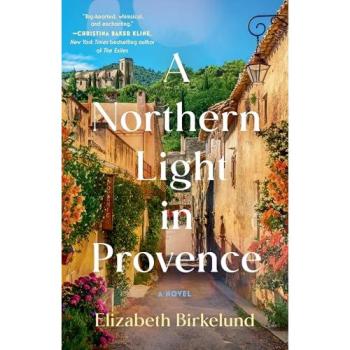 A Northern Light in Provence : A Novel