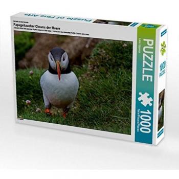 CALVENDO Puzzle Papageitaucher Clowns der Meere 1000 Teile Lege-Größe 64 x 48 cm