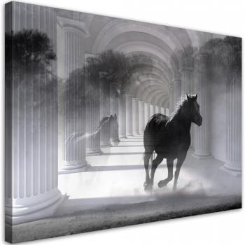 Cheval Dynamique en Noir – 60x40, 3D