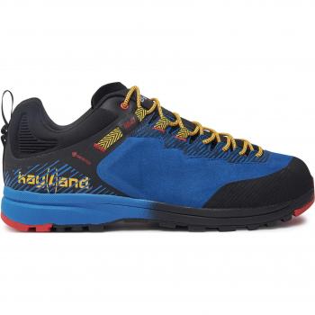 Kayland Grimpeur GTX 018022225 Blue Hiking Shoes (Deutsch)