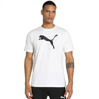 PUMA T-Shirt PUMA teamRISE Logo Trainingsshirt Baumwolle