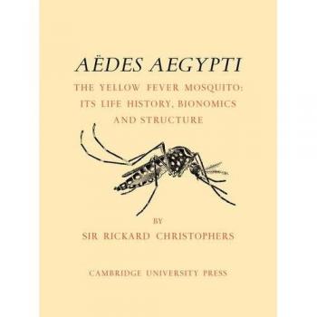 Aedes Aegypti