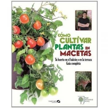 COMO CULTIVAR PLANTAS EN MACETAS