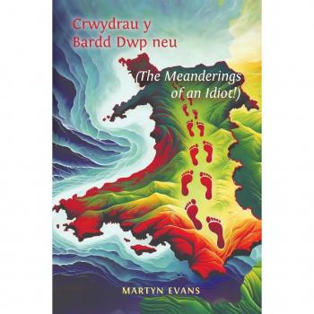 Crwydrau y Bardd Dwp neuor The meanderings of an Idiot by Martyn Evans