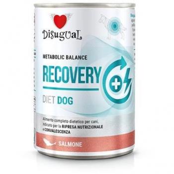 Disugual Comida Húmeda Recovery de Salmón para Perros