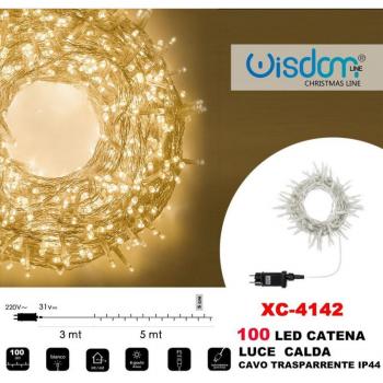 Catena Luminosa 100 Luci LED Lucciole Cavo Trasparente IP44