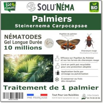NématoGuard SC 10 M – Steinernema carpocapsae, protection contre le papillon du palmier et la charençon rouge (Solunema)