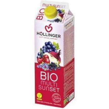 Hollinger Sumo Multi Frutas Vermelhas 1L