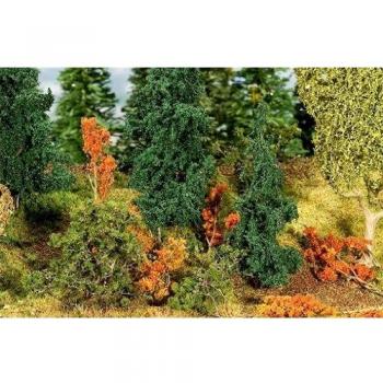 Varietà degli arbusti di sottobosco